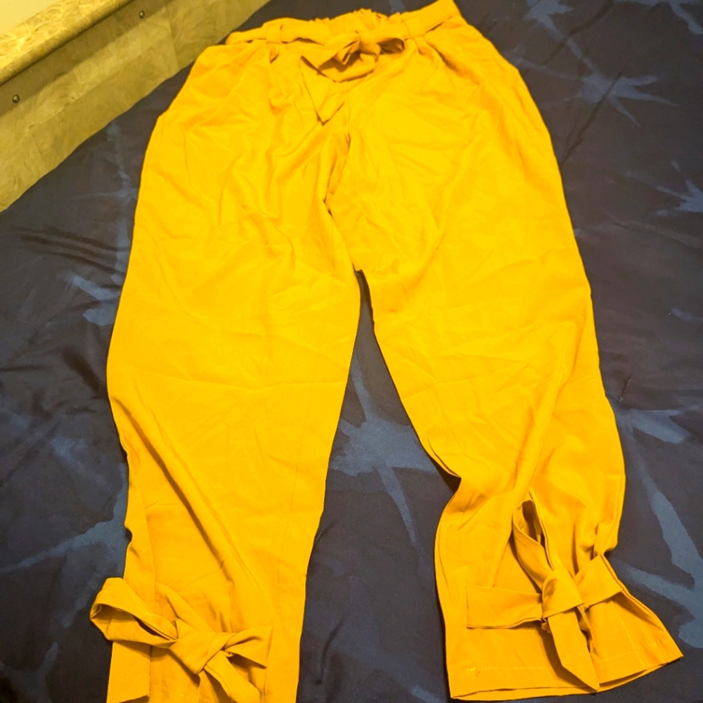Two pairs of women's business pants